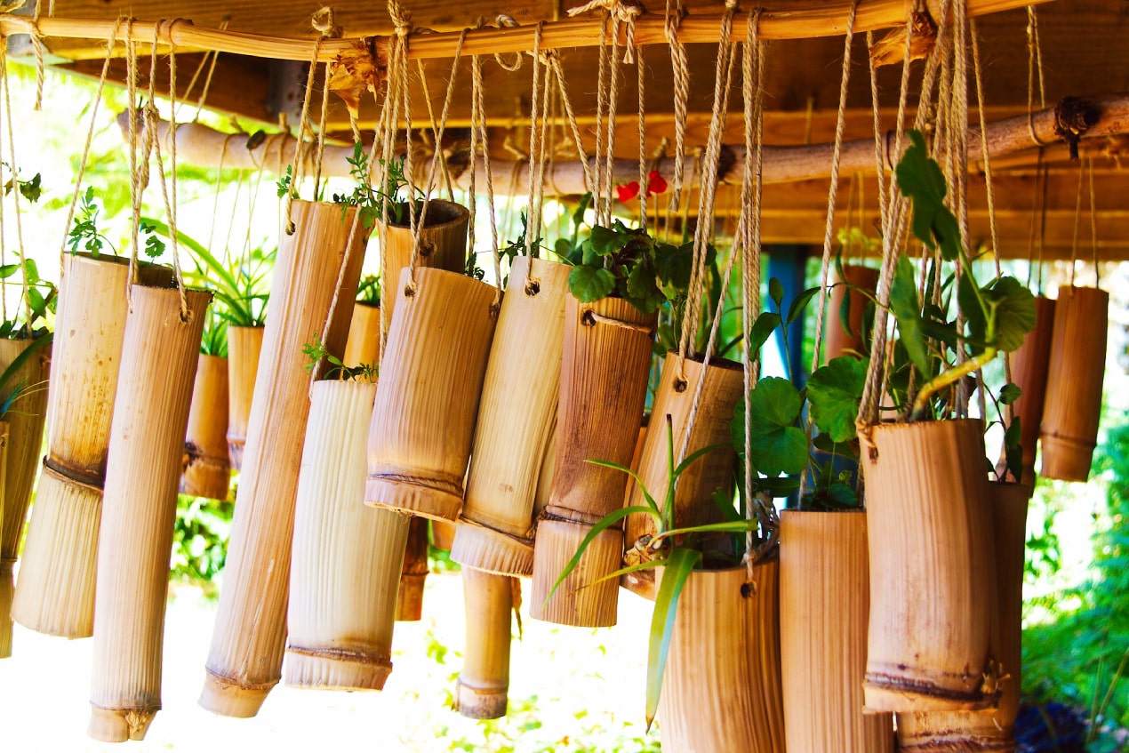 bamboo_production-min